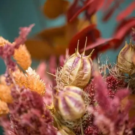 Apartamento Le Jardin Des Plantes *